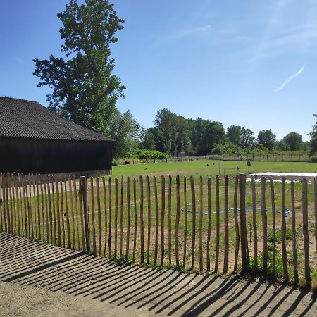 Vila 'T Dagwant Geraardsbergen Exteriér fotografie